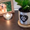 Dog Memorial Plant Pot