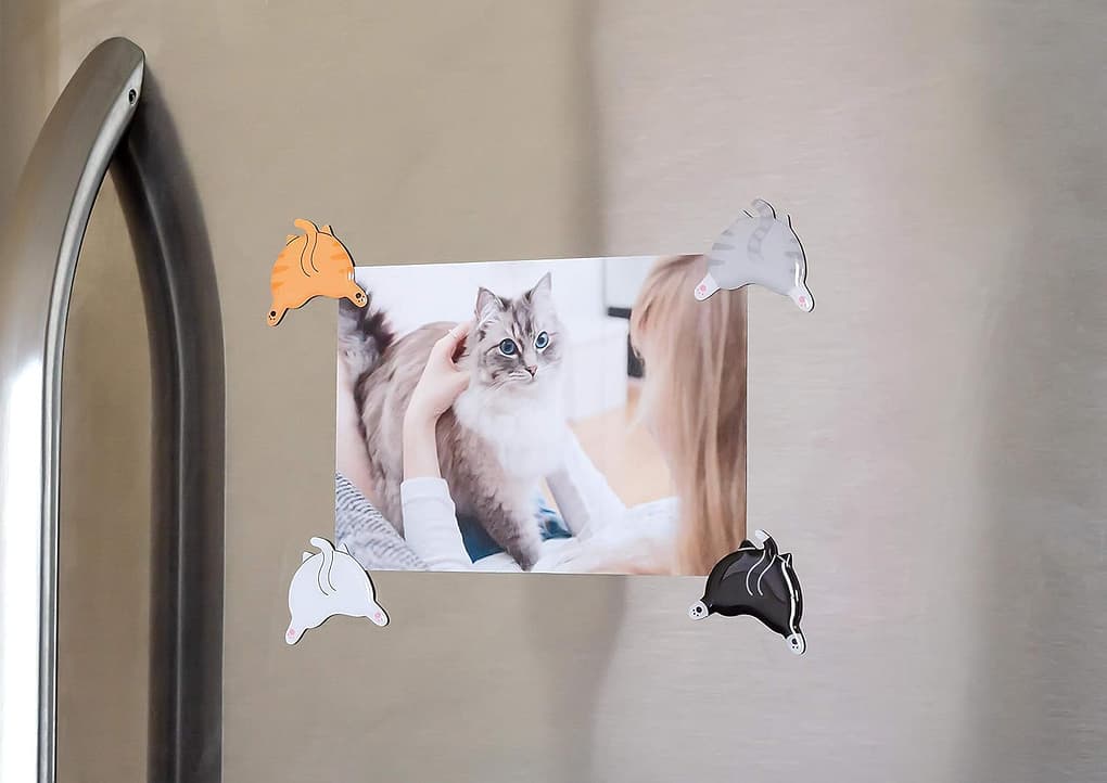 Cat Bum Kitchen Magnets Funny Gifts Under $5