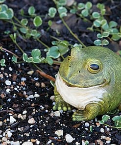 Frog Outdoor Statue