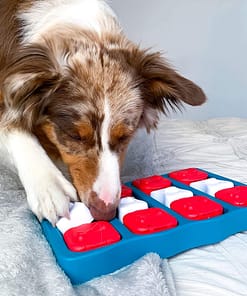 Puzzle Dog Toy