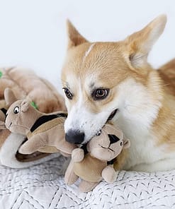 Dog Toy Puzzle
