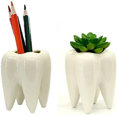 Teeth Planter Pots Funny Gifts for Dentist