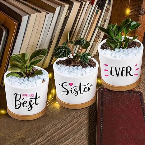 Sister Plant Pots Sentimental Gifts for Sister
