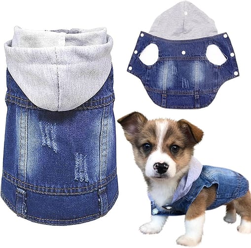 Dog Jeans Jacket