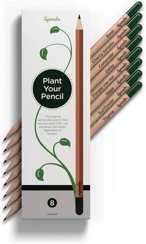 Sprout Graphite Plantable Pencils