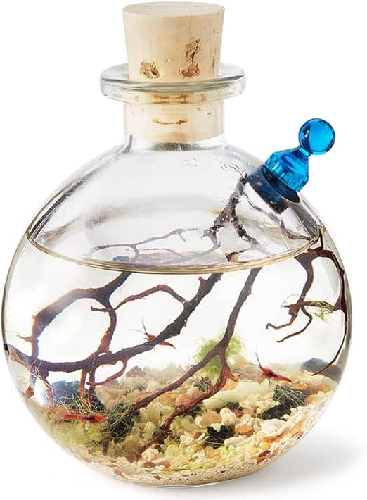 Self-Sustaining Ecosystem Best Housewarming Gifts for Guys