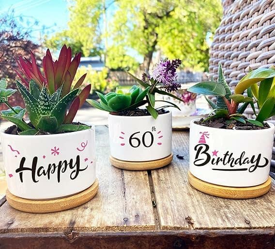 60th Birthday Planter Set Funny Gifts for 60th Birthday Woman