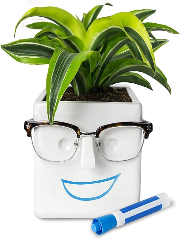 Novelty Funny Planter