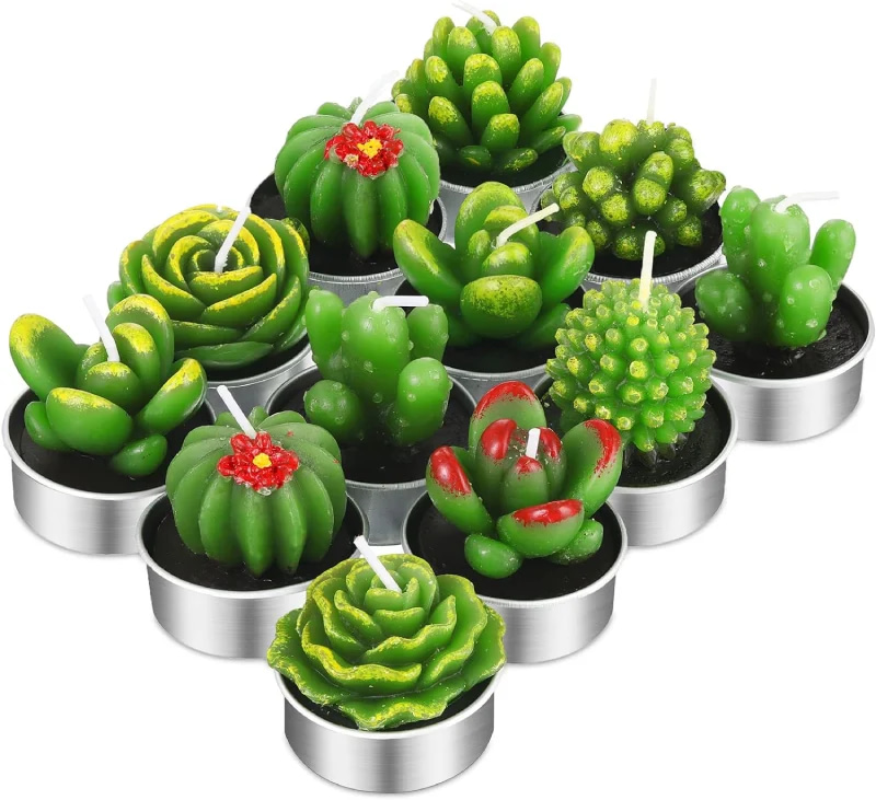 TecUnite Cactus Tealight Candles Cheap Gifts for Sister