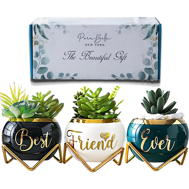_Best Friend Ever_ Succulent Pots Marriage Gifts for Friends
