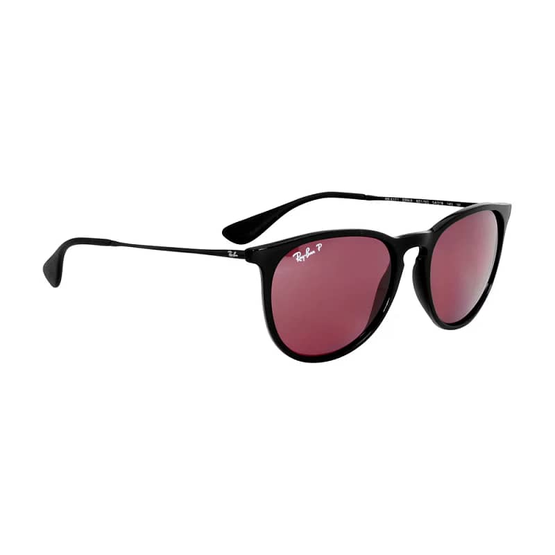 Ray-Ban Erika Classic 54mm Sunglasses Present for Man Who Has Everything