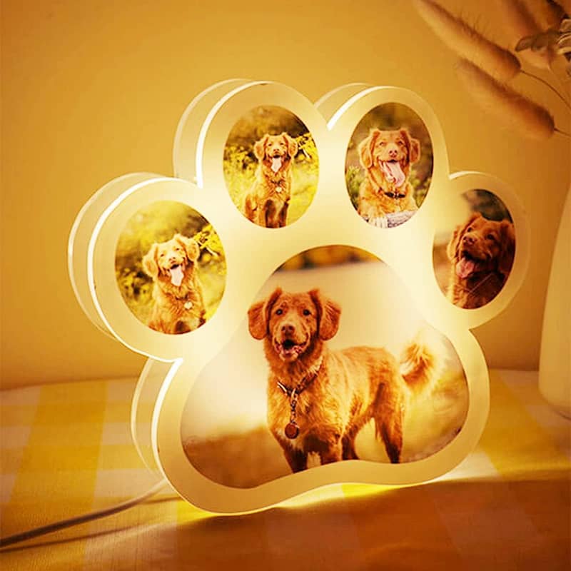Personalized Dog Paw Photo Lamp
